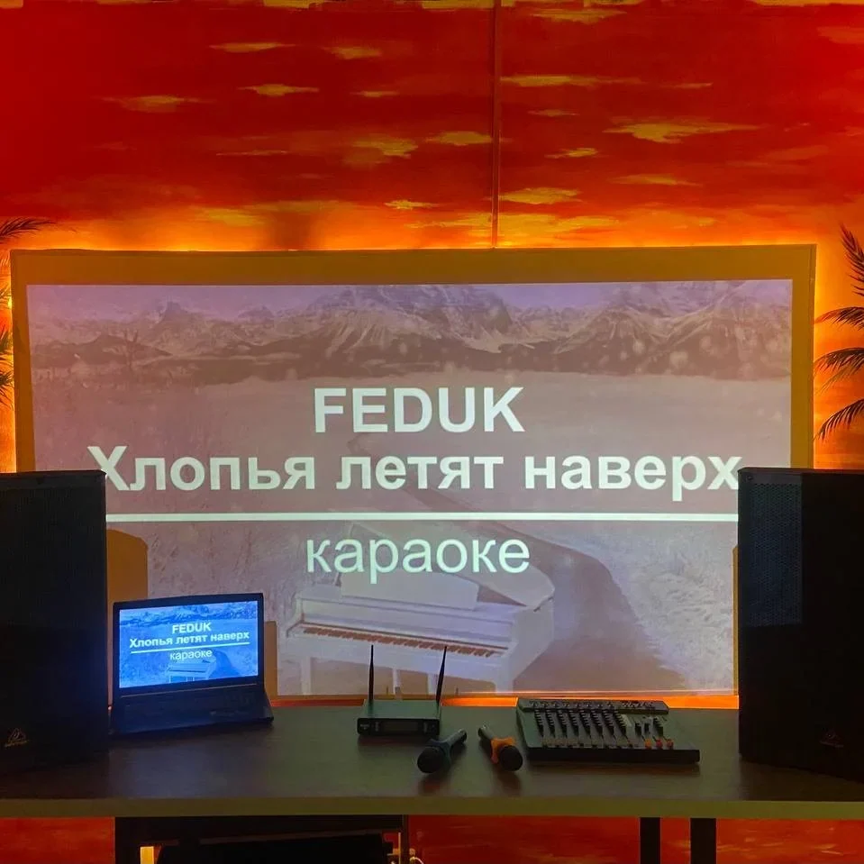 Караоке-система с микрофонами и экраном на празднике